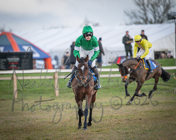 Race 1 - 2m4f Maiden (117 of 460)