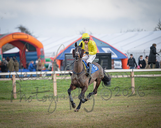 Race 1 - 2m4f Maiden (121 of 460)
