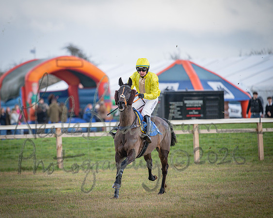 Race 1 - 2m4f Maiden (123 of 460)