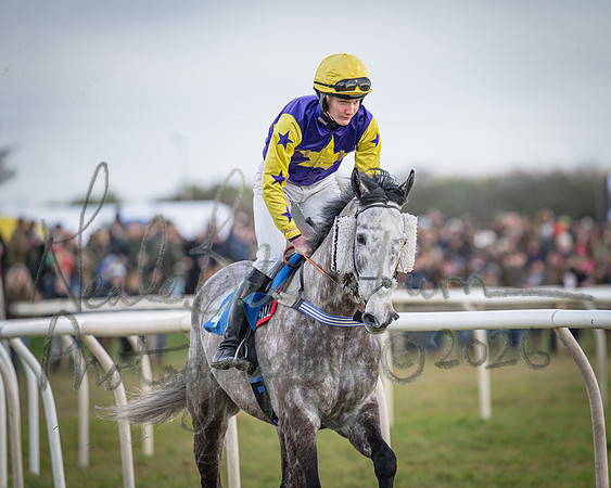 Race 1 - 2m4f Maiden (141 of 460)