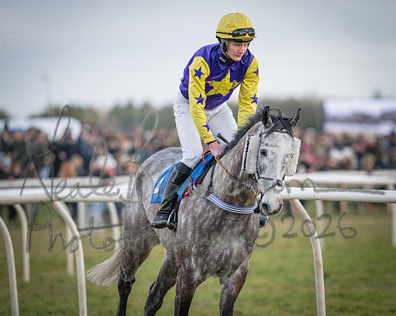 Race 1 - 2m4f Maiden (143 of 460)