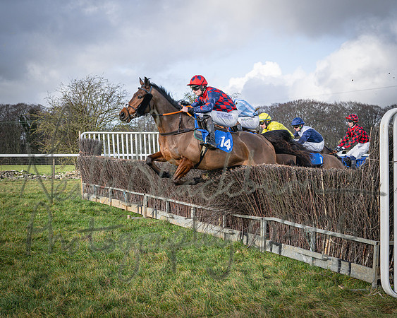Race 1 - 2m4f Maiden (169 of 460)