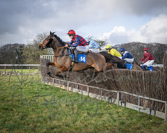 Race 1 - 2m4f Maiden (170 of 460)