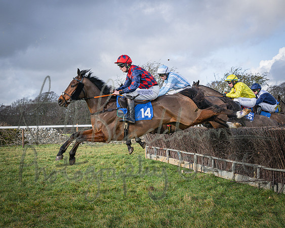 Race 1 - 2m4f Maiden (172 of 460)