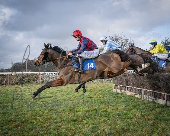 Race 1 - 2m4f Maiden (173 of 460)