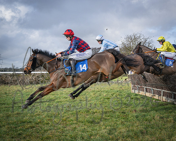 Race 1 - 2m4f Maiden (174 of 460)