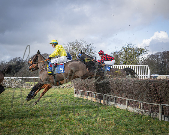 Race 1 - 2m4f Maiden (178 of 460)
