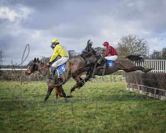 Race 1 - 2m4f Maiden (182 of 460)