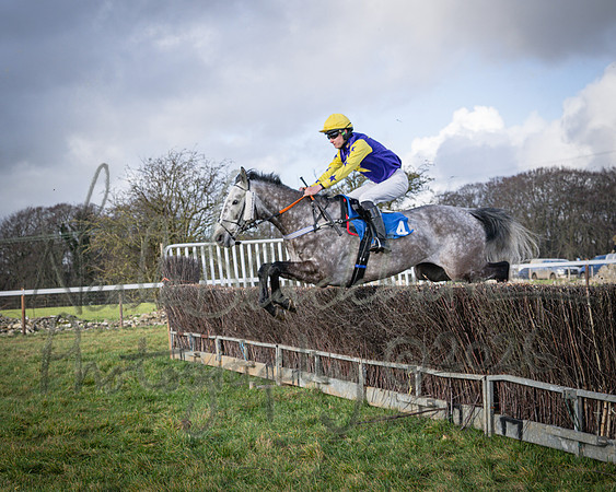 Race 1 - 2m4f Maiden (197 of 460)