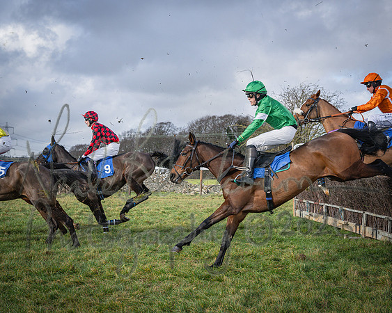 Race 1 - 2m4f Maiden (187 of 460)