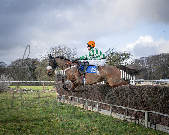 Race 1 - 2m4f Maiden (207 of 460)