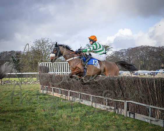 Race 1 - 2m4f Maiden (206 of 460)