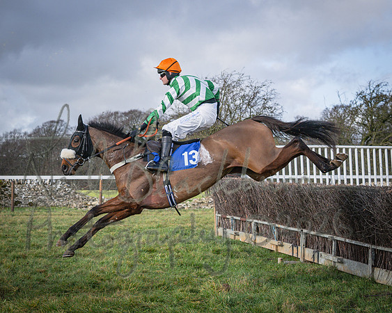 Race 1 - 2m4f Maiden (210 of 460)