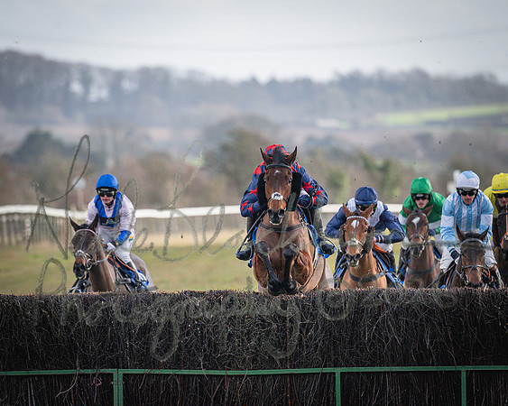 Race 1 - 2m4f Maiden (217 of 460)