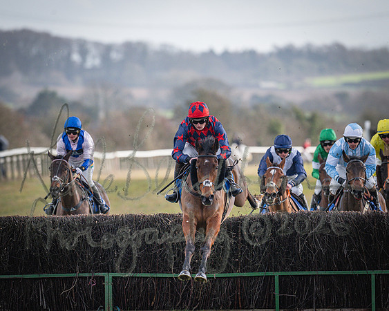 Race 1 - 2m4f Maiden (219 of 460)