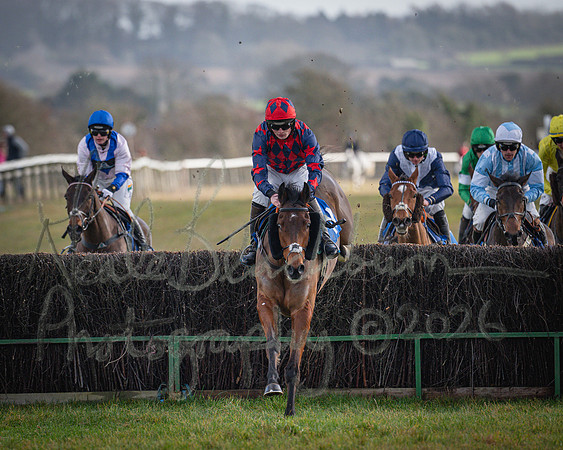 Race 1 - 2m4f Maiden (220 of 460)