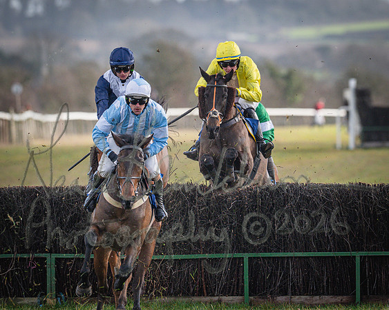 Race 1 - 2m4f Maiden (230 of 460)
