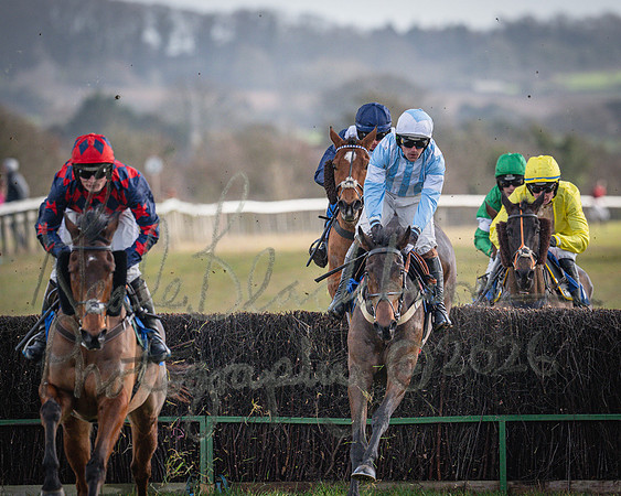 Race 1 - 2m4f Maiden (227 of 460)