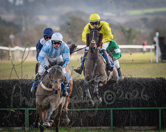 Race 1 - 2m4f Maiden (231 of 460)