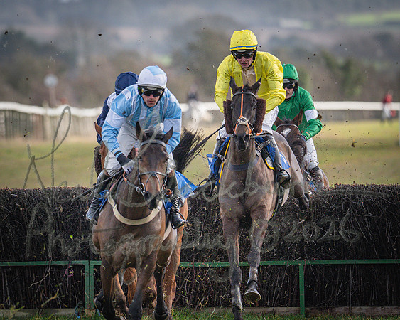 Race 1 - 2m4f Maiden (232 of 460)