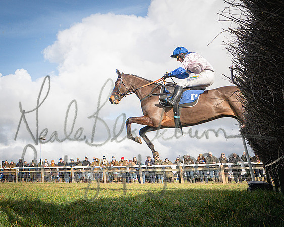 Race 1 - 2m4f Maiden (268 of 460)