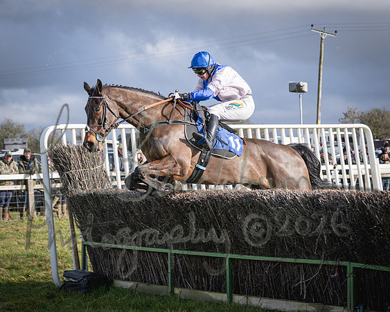 Race 1 - 2m4f Maiden (283 of 460)
