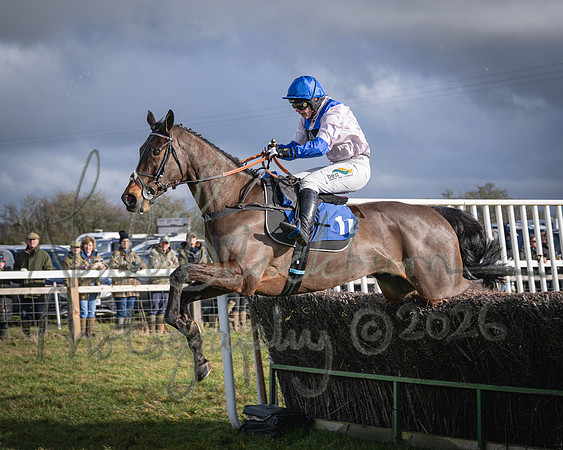 Race 1 - 2m4f Maiden (285 of 460)