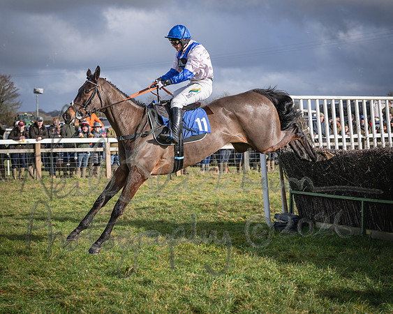Race 1 - 2m4f Maiden (288 of 460)