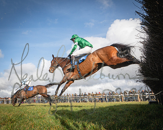 Race 1 - 2m4f Maiden (295 of 460)