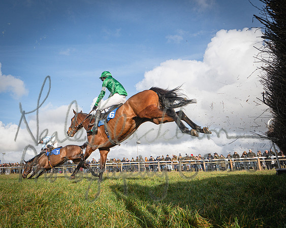 Race 1 - 2m4f Maiden (296 of 460)