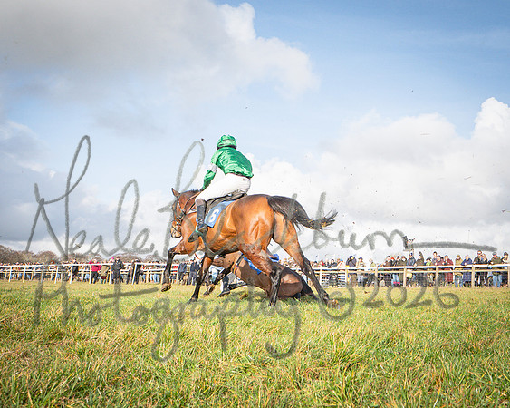 Race 1 - 2m4f Maiden (299 of 460)