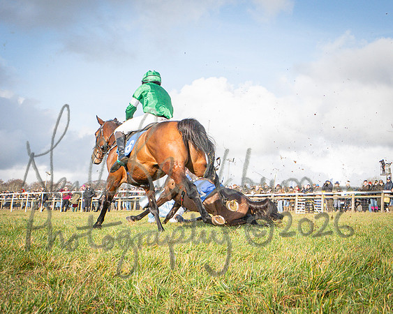 Race 1 - 2m4f Maiden (300 of 460)