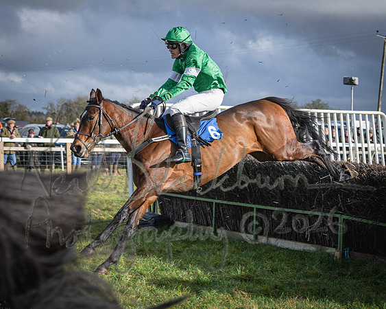 Race 1 - 2m4f Maiden (305 of 460)