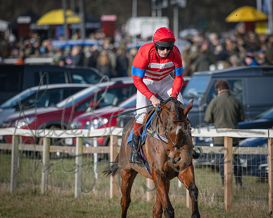 Race 2 - Restricted (12 of 155)