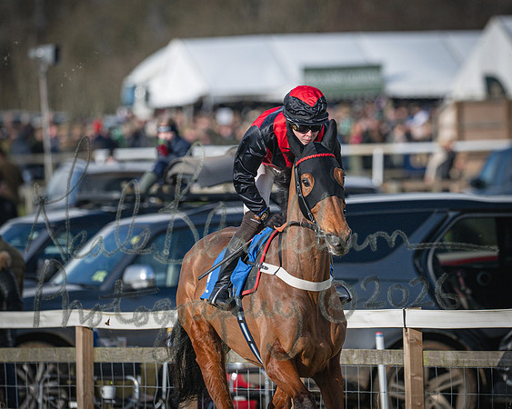 Race 2 - Restricted (16 of 155)