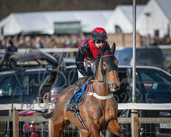 Race 2 - Restricted (17 of 155)