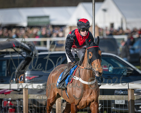 Race 2 - Restricted (18 of 155)