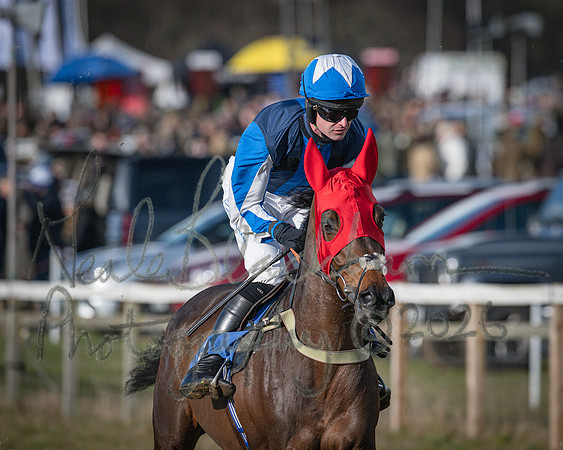 Race 2 - Restricted (21 of 155)