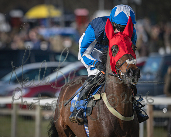 Race 2 - Restricted (22 of 155)