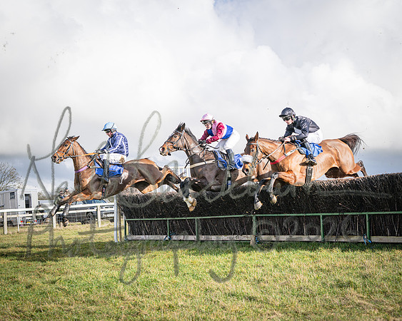 Race 2 - Restricted (58 of 155)