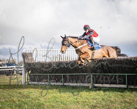 Race 2 - Restricted (70 of 155)