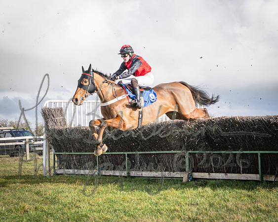Race 2 - Restricted (72 of 155)