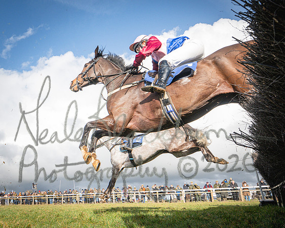 Race 2 - Restricted (77 of 155)