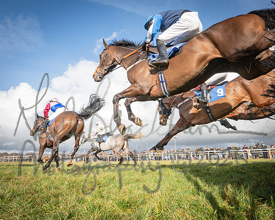 Race 2 - Restricted (84 of 155)