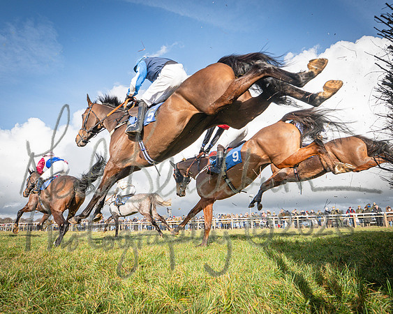 Race 2 - Restricted (86 of 155)