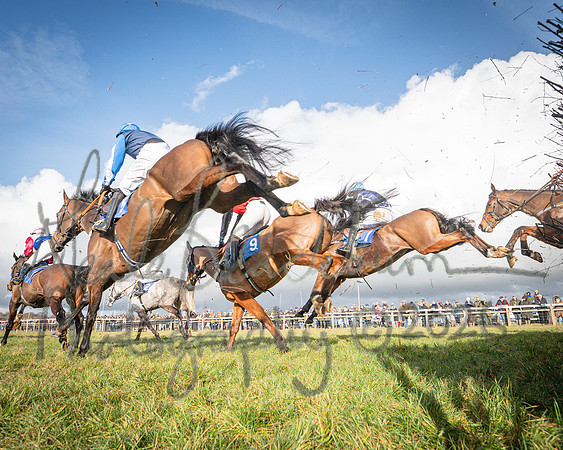 Race 2 - Restricted (88 of 155)