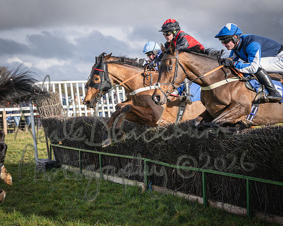 Race 2 - Restricted (96 of 155)