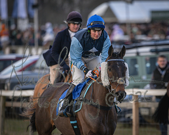 Race 3 - Ladies Open (3 of 135)