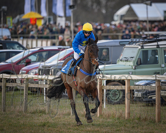 Race 3 - Ladies Open (7 of 135)