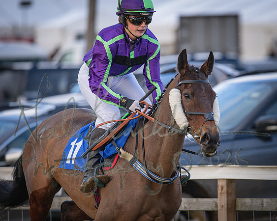 Race 3 - Ladies Open (26 of 135)